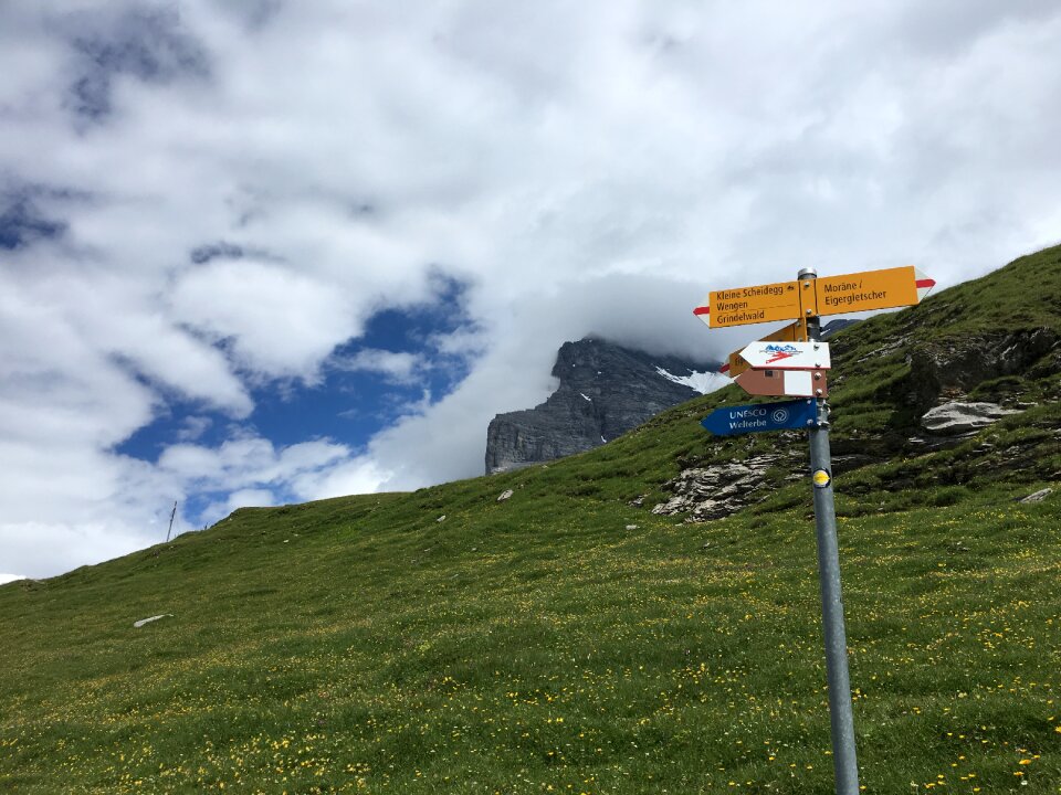 Idyllic landscape in the Alps with fresh green meadows