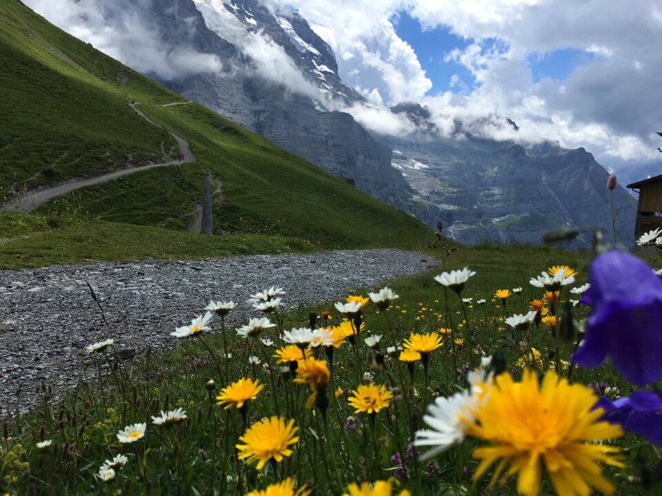 View of Piz Bernina Alps mountains in Switzerland