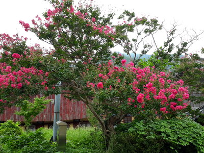 Pyochungsa Korean Buddhist temple in Miryang