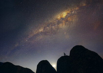 Animal on the mountain on Milky Way Background photo