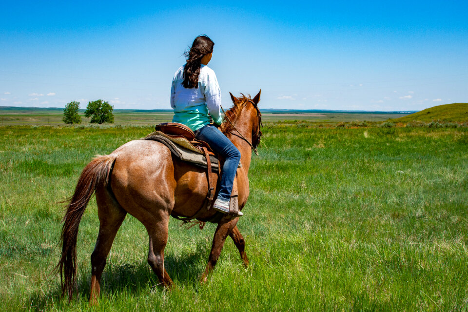 young woman black stallion in a field