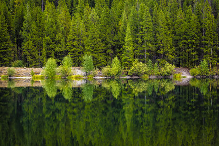 Beaverhead Deerlodge National Forest in Montana