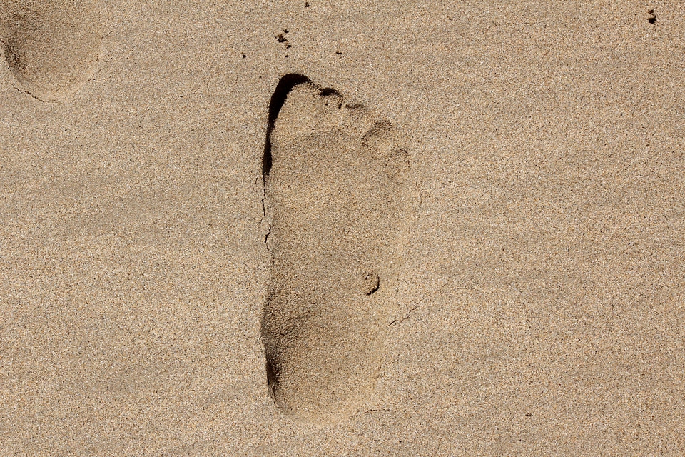 Sea foot summer photo