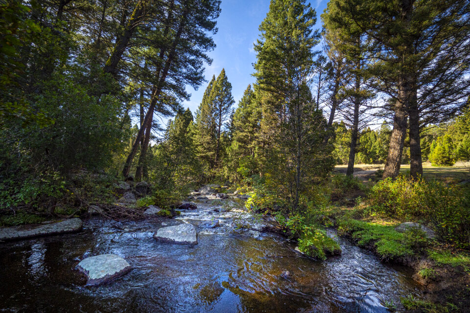 Beaverhead Deerlodge National Forest in Montana