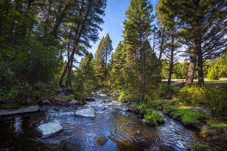 Beaverhead Deerlodge National Forest in Montana