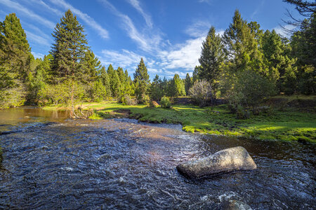 Beaverhead Deerlodge National Forest in Montana photo