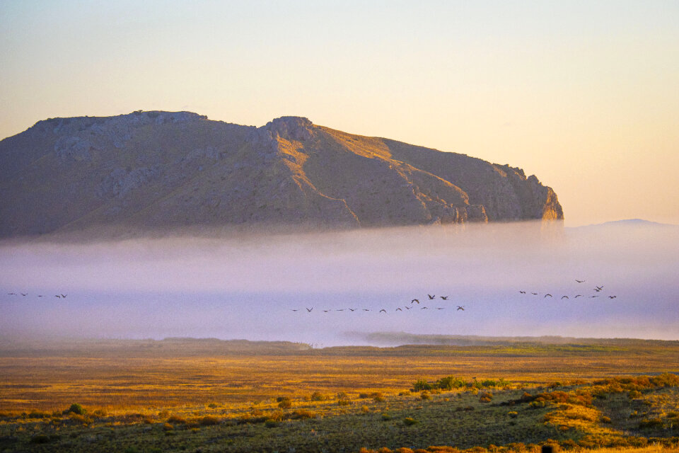 Fog Beaverhead Deerlodge National Forest in Montana