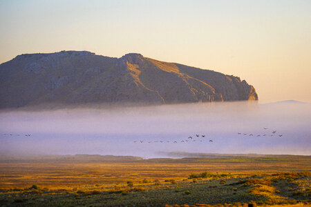 Fog Beaverhead Deerlodge National Forest in Montana