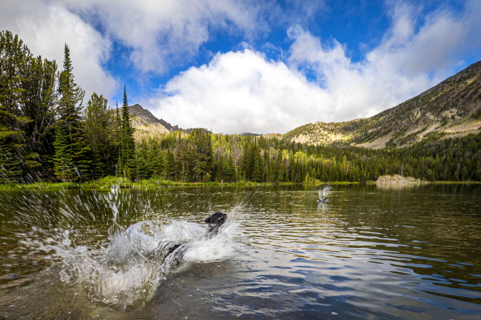 Beaverhead Deerlodge National Forest in Montana