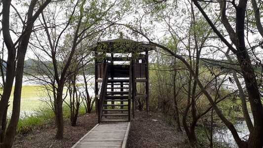Upo Wetland in Changnyeong Korea