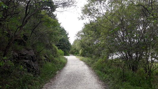 Upo Wetland in Changnyeong Korea