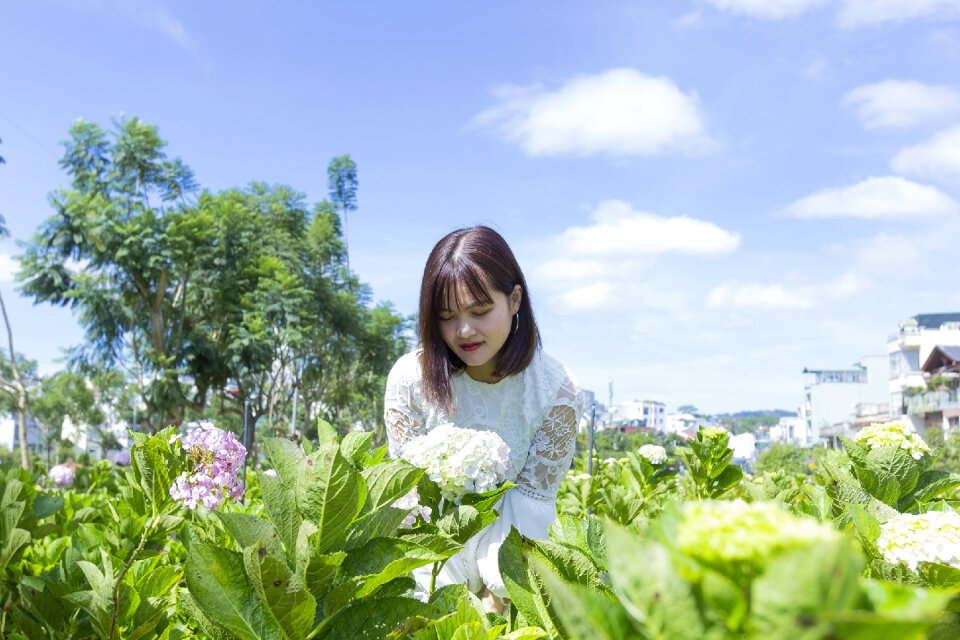 Beautiful Asian Girl smell of the flower photo