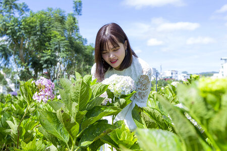 Beautiful Asian Girl smell of the flower