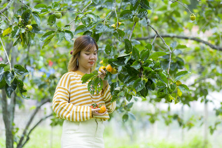 Pretty Asian Girl In wild flowers garden
