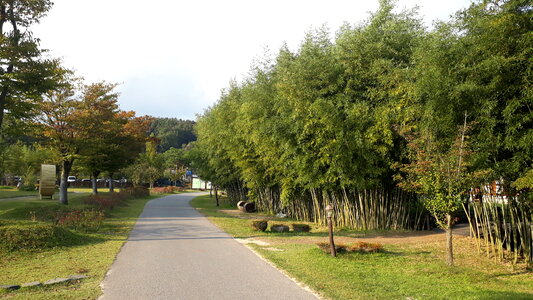 Damyang Juknokwon in South Korea