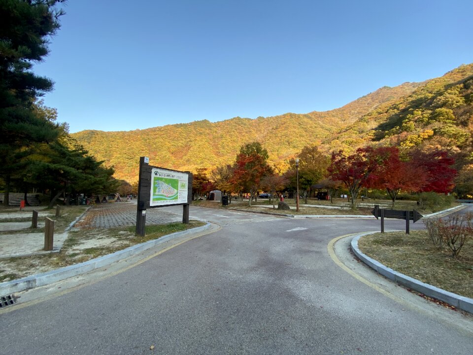 Dalgung Auto Camp ground