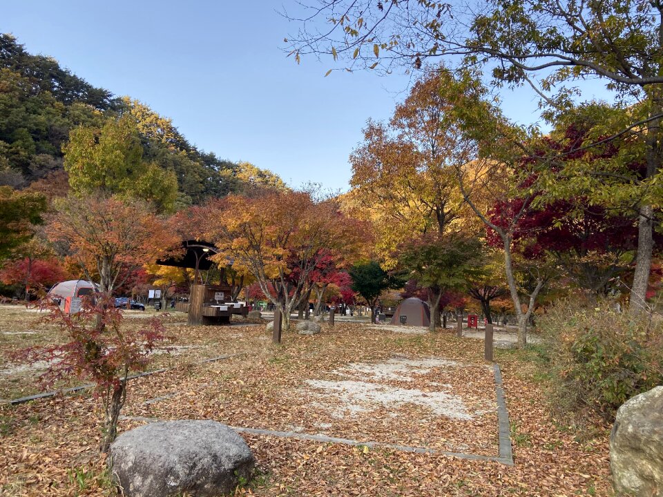 Dalgung Auto Camp ground