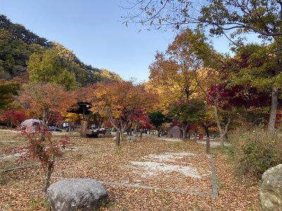 Dalgung Auto Camp ground