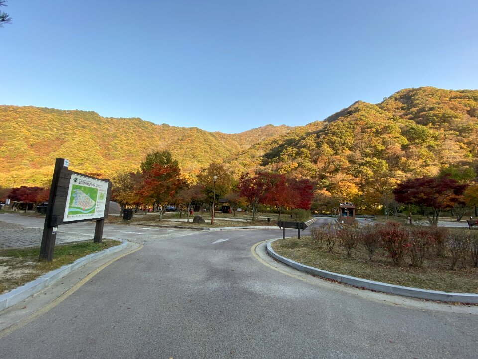 Dalgung Auto Camp ground