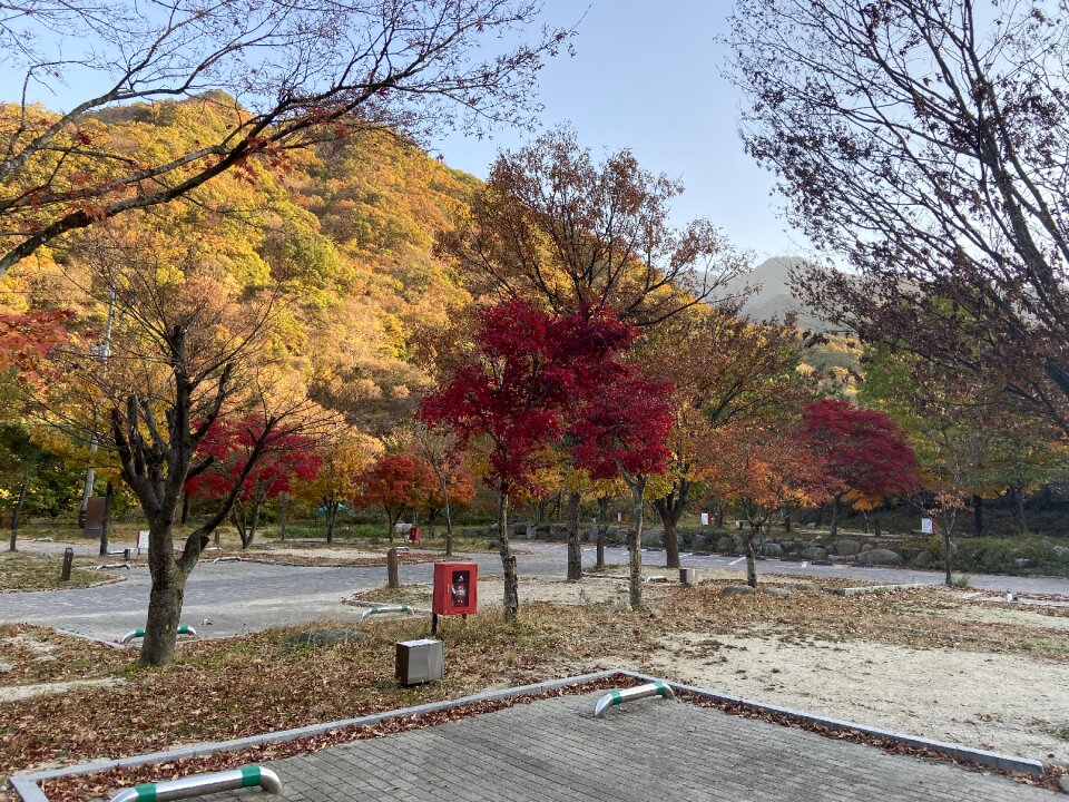 Dalgung Auto Camp ground