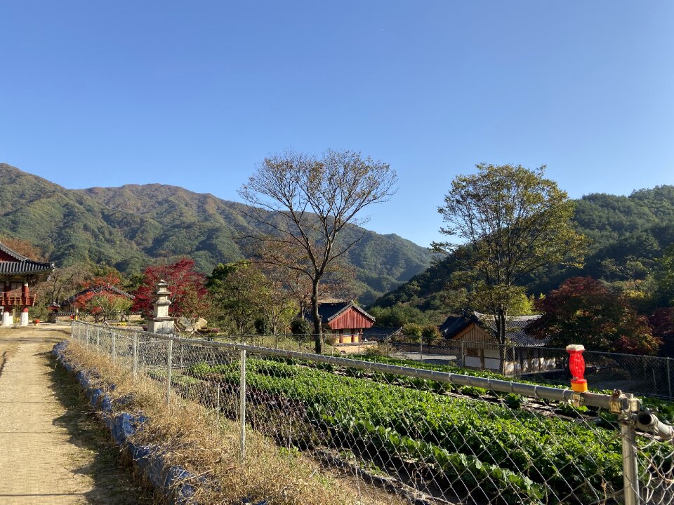 Yeongoksa Temple in Gurye South Korea