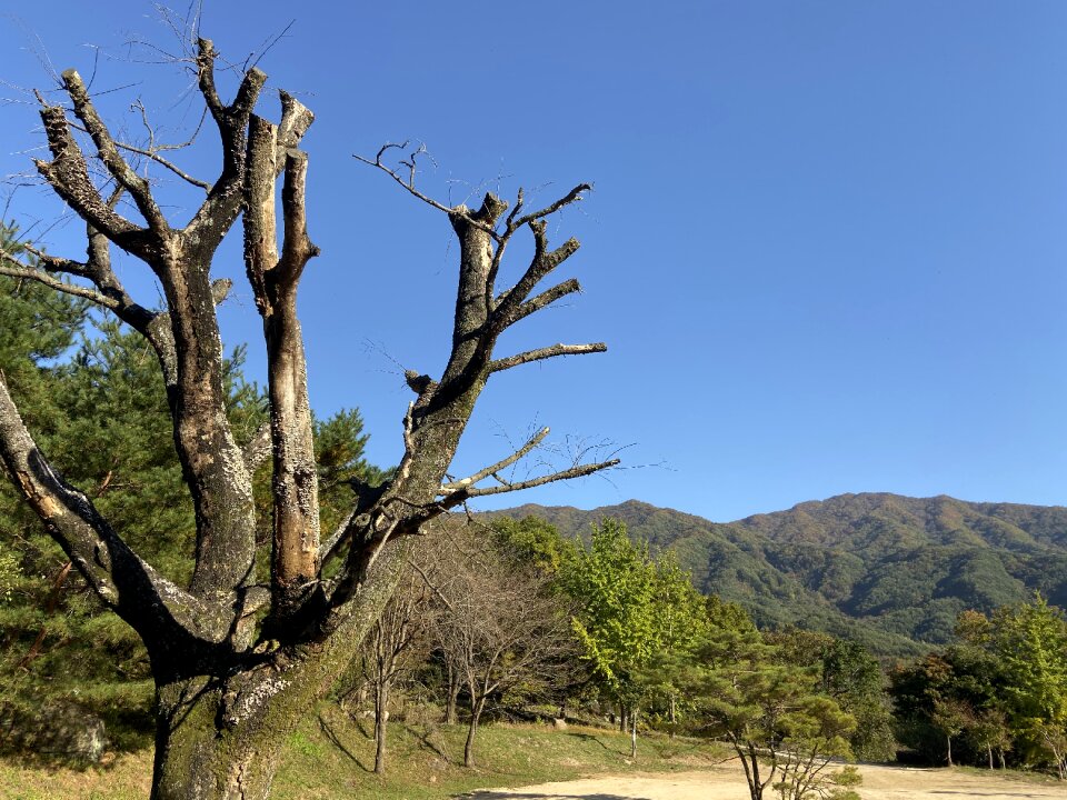 Yeongoksa Temple in Gurye South Korea