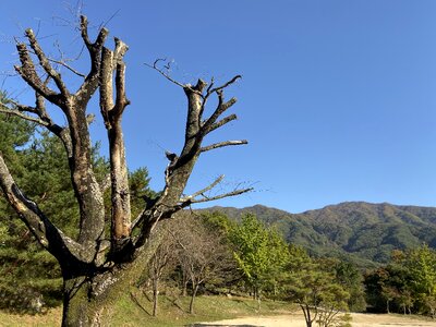 Yeongoksa Temple in Gurye South Korea
