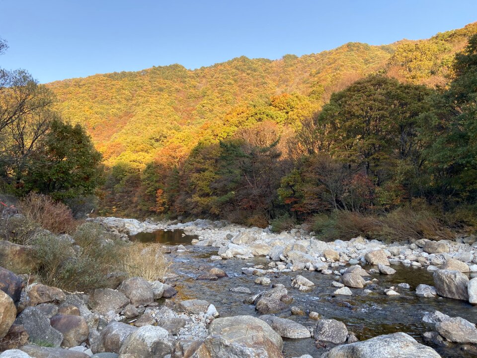 Jirisan Magnificent Fall Colors