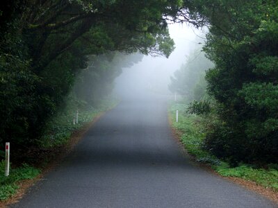 An asphalt road that goes through a misty dark photo