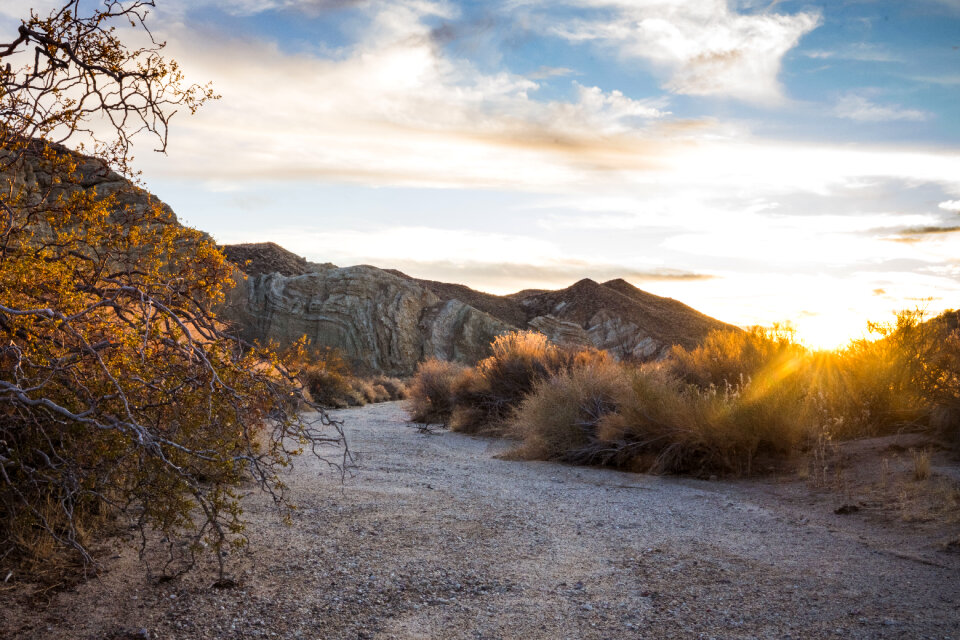 Black Mountain Wilderness photo