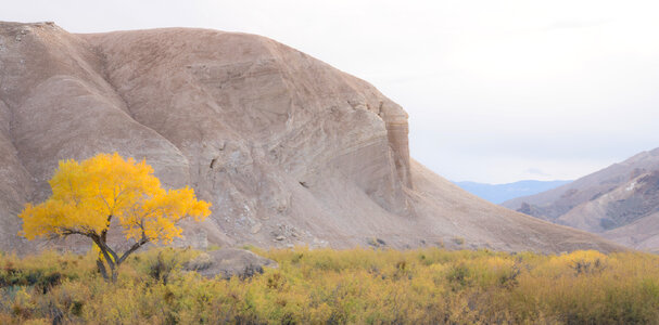 China Ranch Date Farm Trail