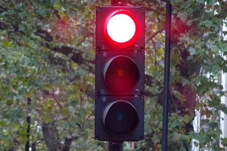 Red traffic light in the city street photo