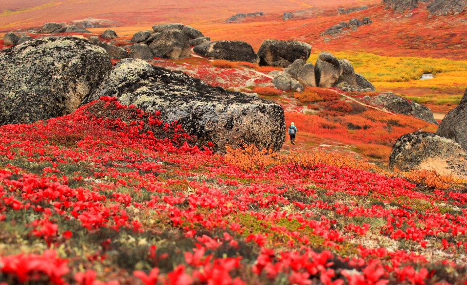 Bering Land Bridge National Preserve in Alaska