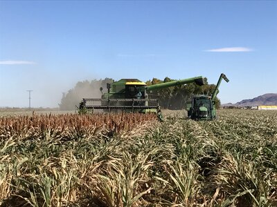 Hartman Farms