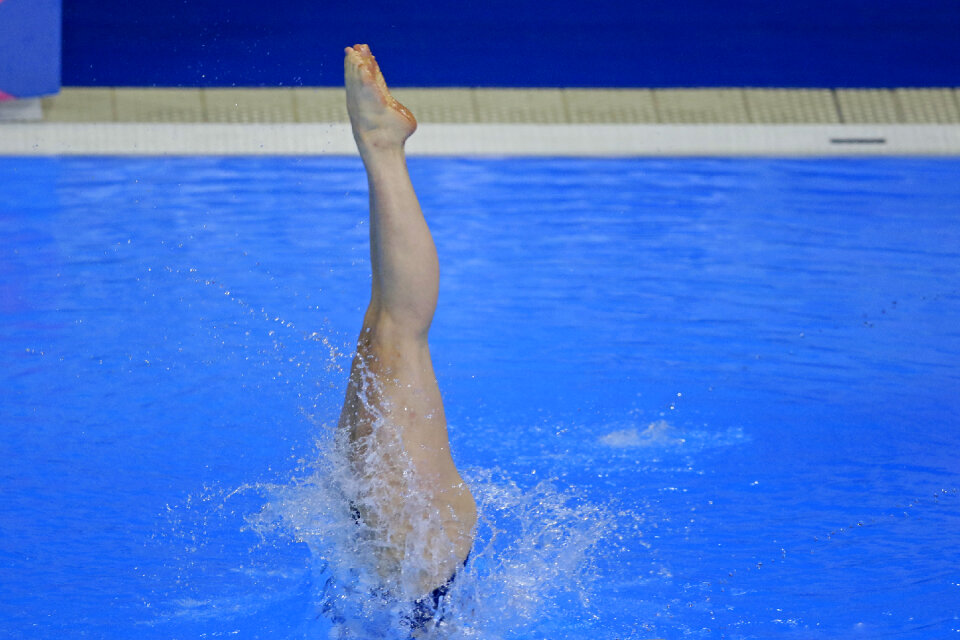 Participant of the spring-board diving championship