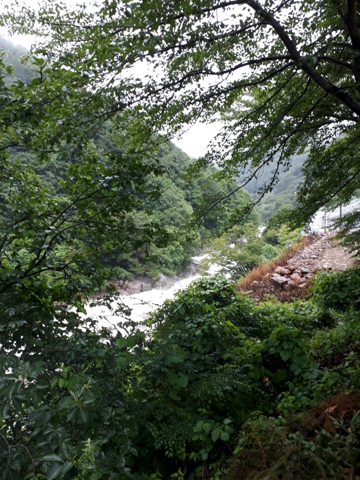 Bakmoodang Jirisan National Park
