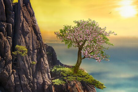 a giant tree