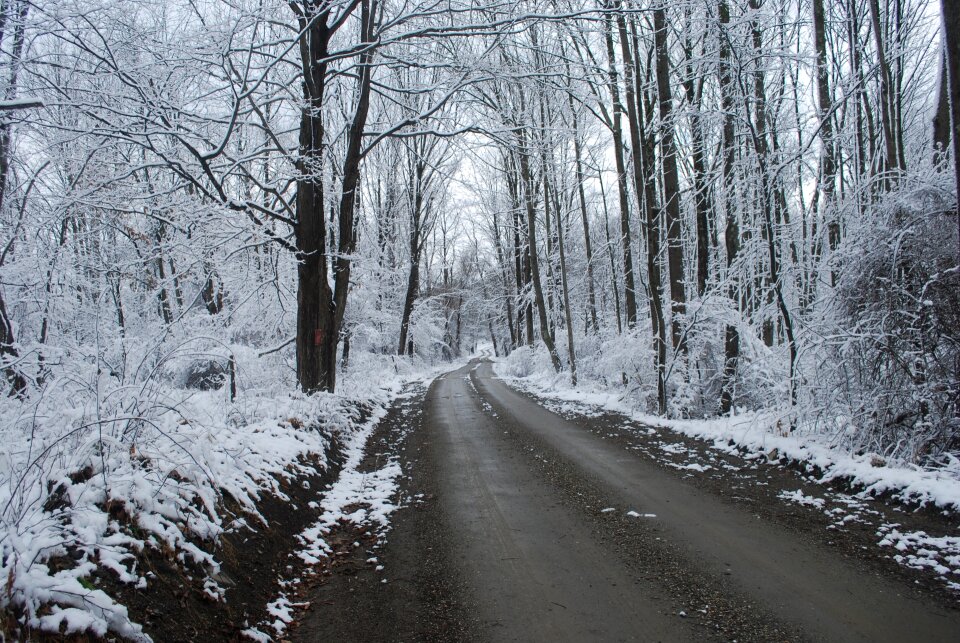 Rhode Islandwinter landscape. Winter road and trees covered with