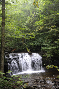 Ricketts Glen State Park