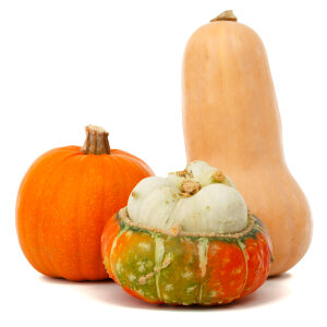 Isolated Pumpkins photo