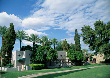 Custom built big luxury house with nicely trimmed front yard
