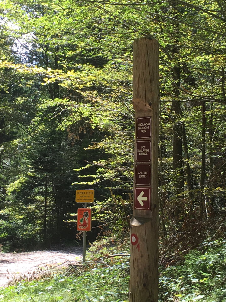 Triglavska bistrica trail in Slovenia