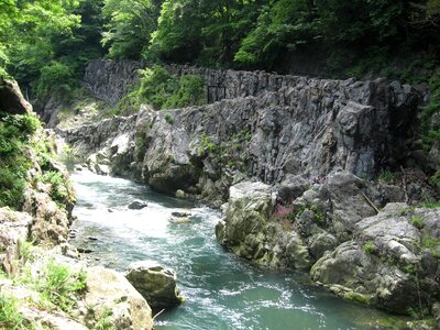 High cliff on river grown with trees