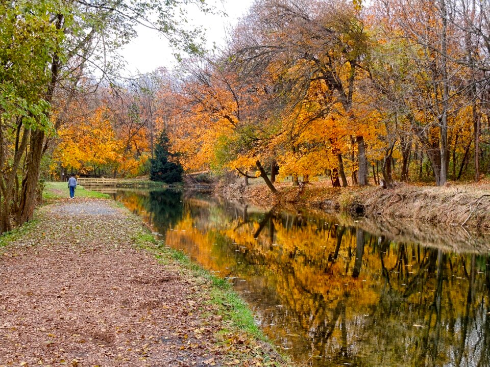 river and through tropical forest Pennsylvania Canal