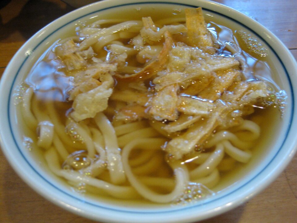 Goboten Udon - Japanese Noodle