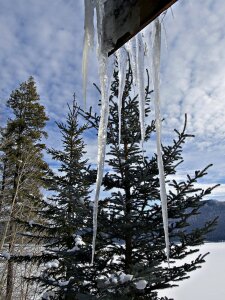 icicles in winter photo