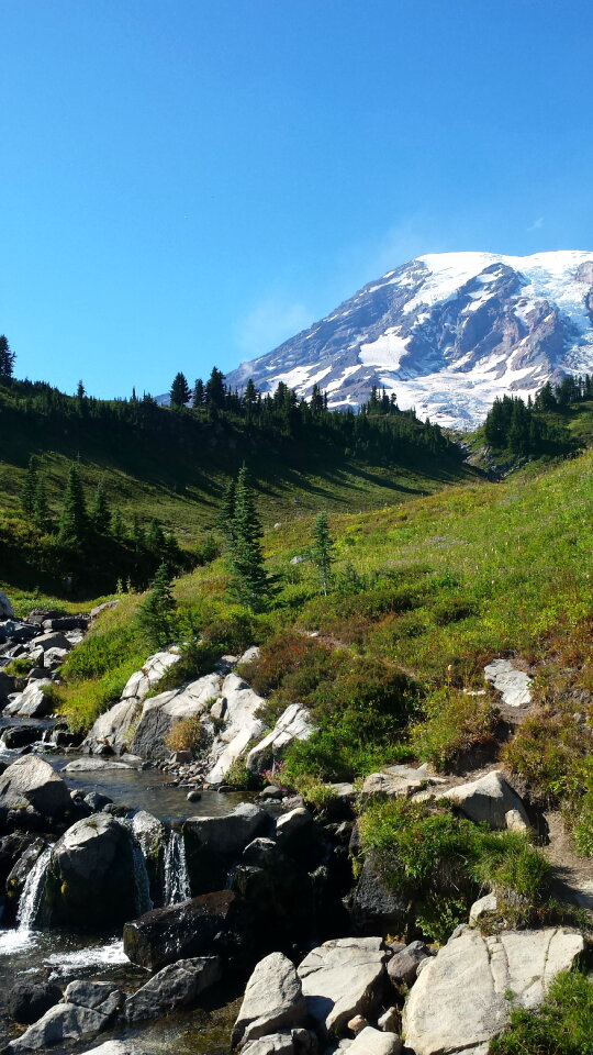 Mount Rainier National Park