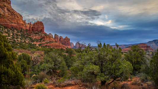 Coconino National Forest in Arizona