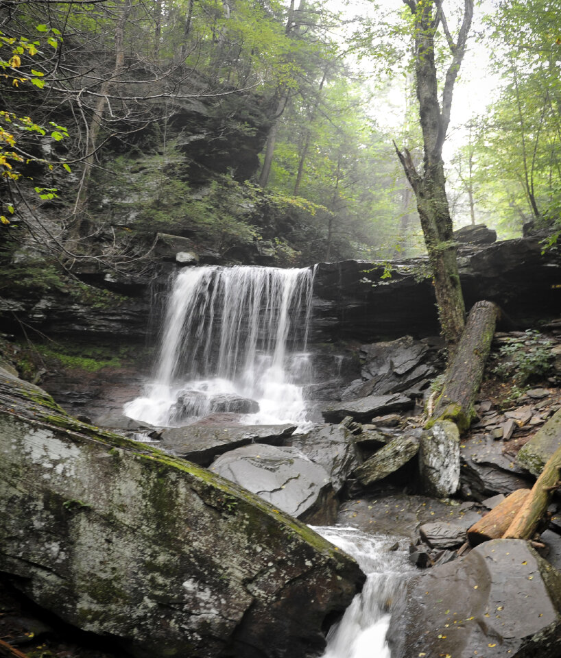 Ricketts Glen State Park
