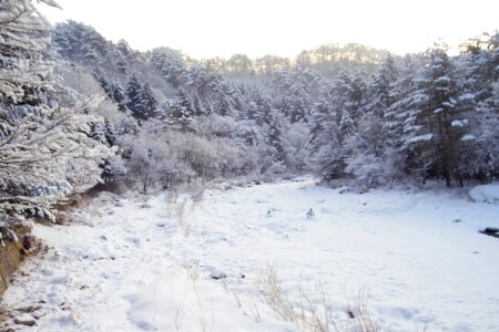 A Snow Covered Little Creek In Winter photo